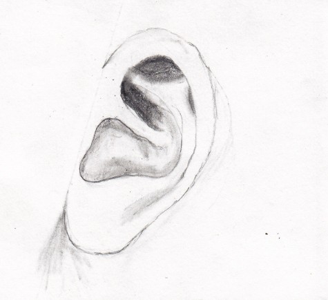 Ear | Artwork by Leo Bailey